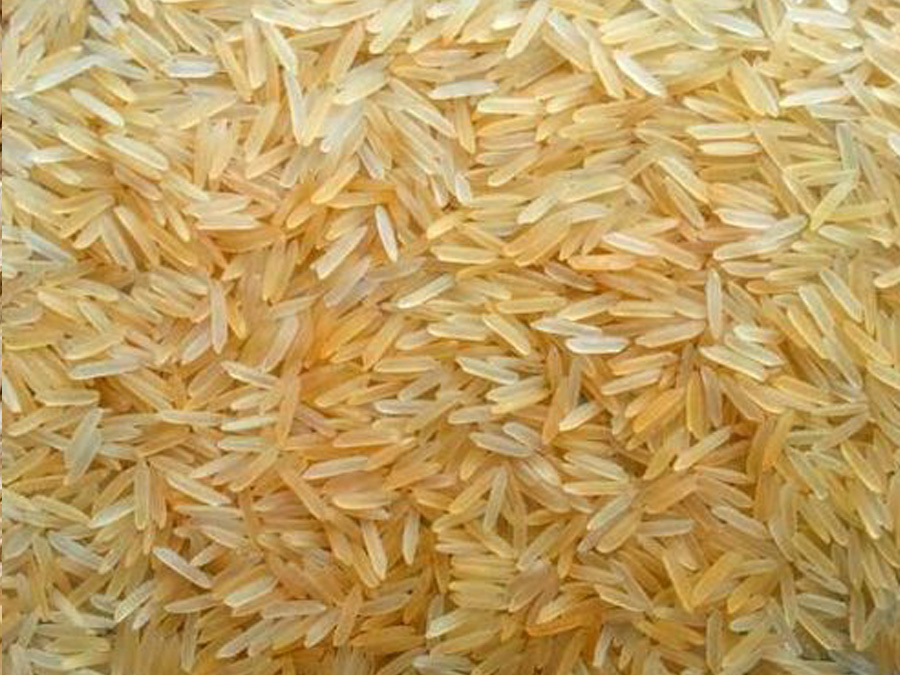 1121 GOLDEN SELLA BASMATI RICE