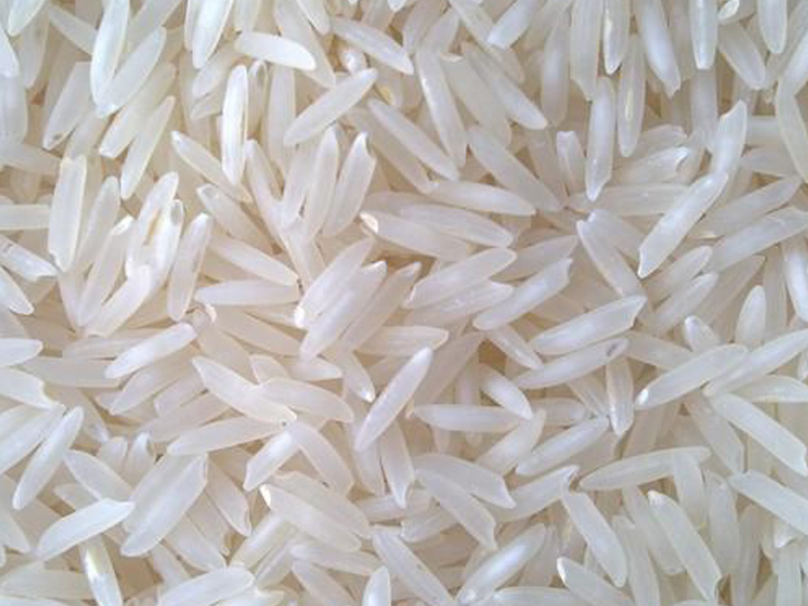 1121 RAW BASMATI RICE