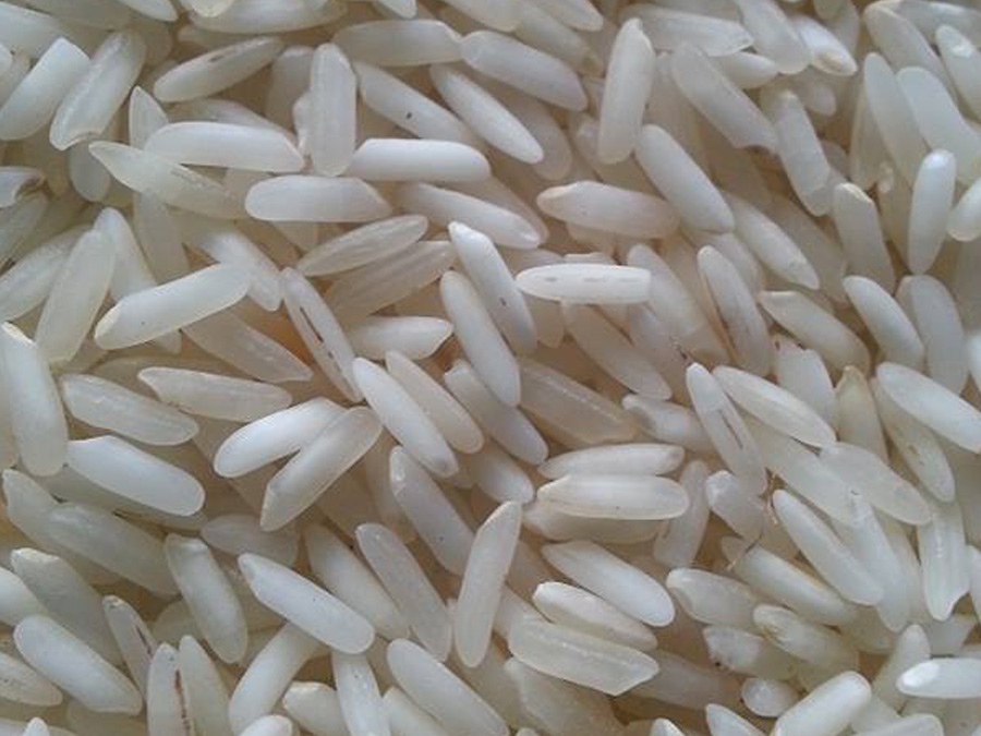 RICE